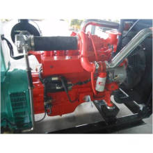 High Quality Gas Engine